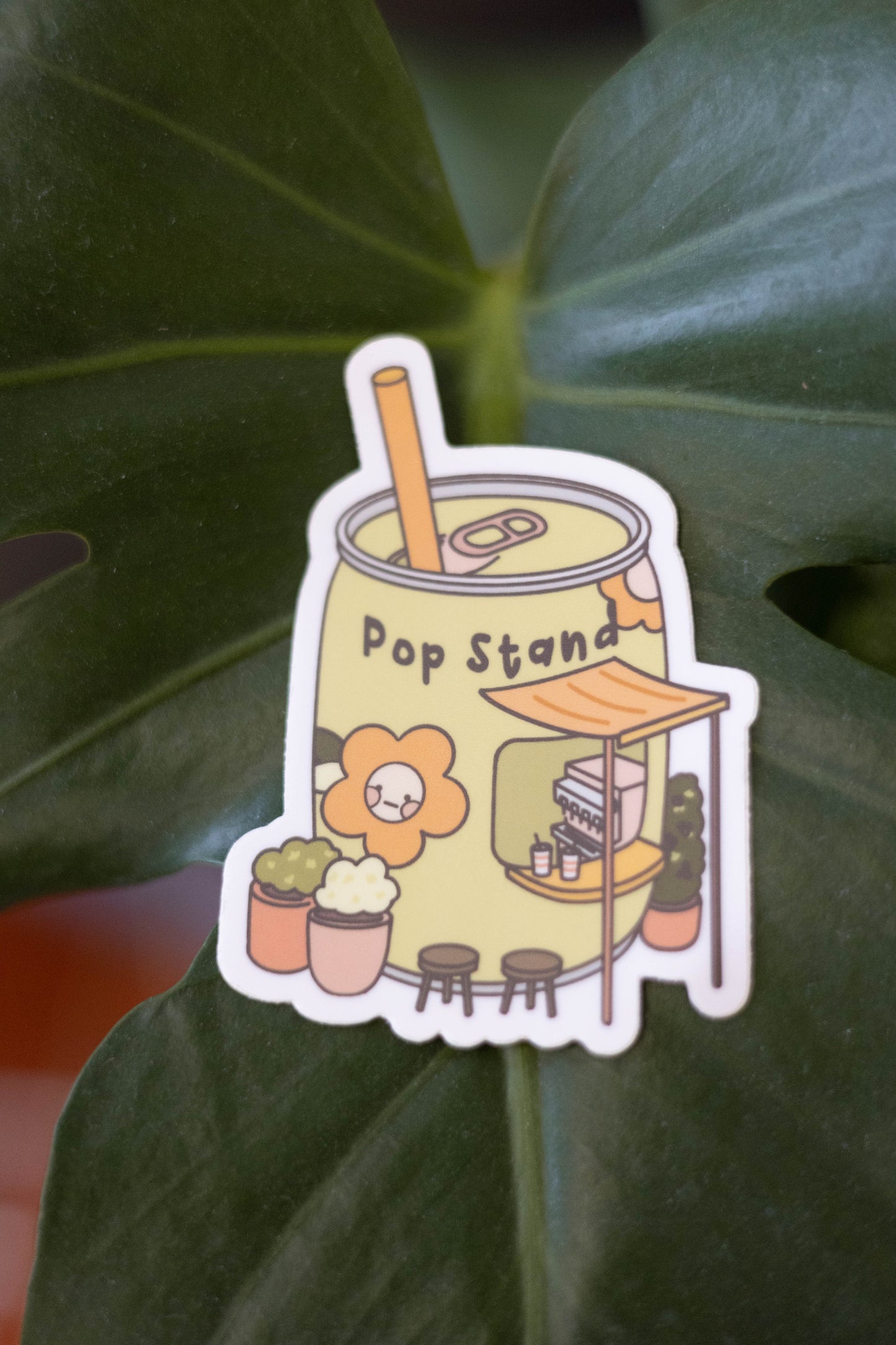 Pop Stand