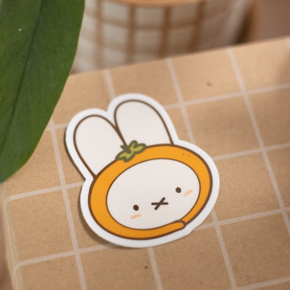 Miffy x Orange